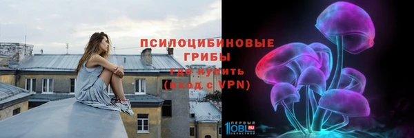 спиды Бородино