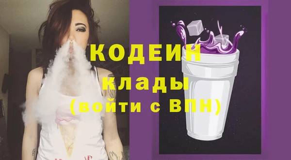 спиды Бородино