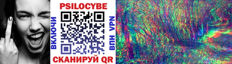 hydra онион  хочу наркоту  Геленджик  Псилоцибиновые грибы Magic Shrooms 