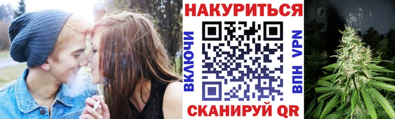 Бошки Шишки SATIVA & INDICA  где купить наркотик  Геленджик 